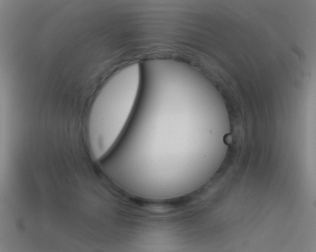 X0000114520654200910190950