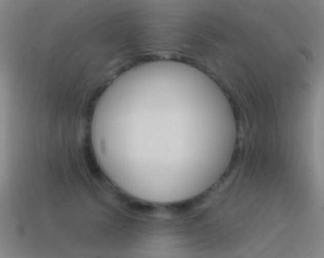 X0000114520656200910190951