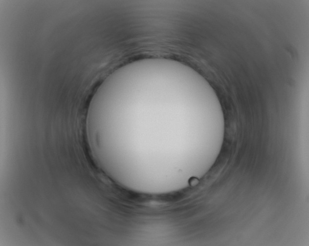 X0000114520658200910190951