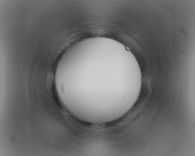 X0000114520660200910190951
