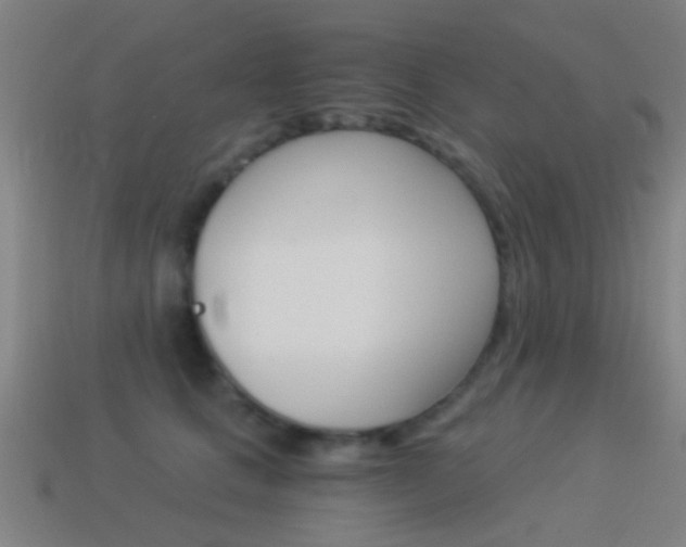 X0000114520661200910190951