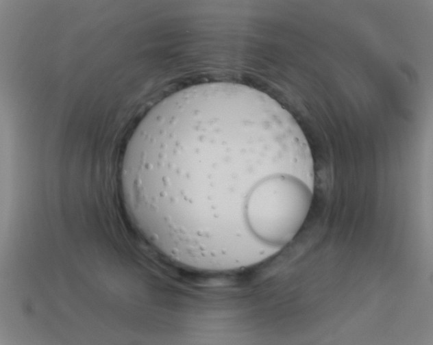 X0000114520662200910190951