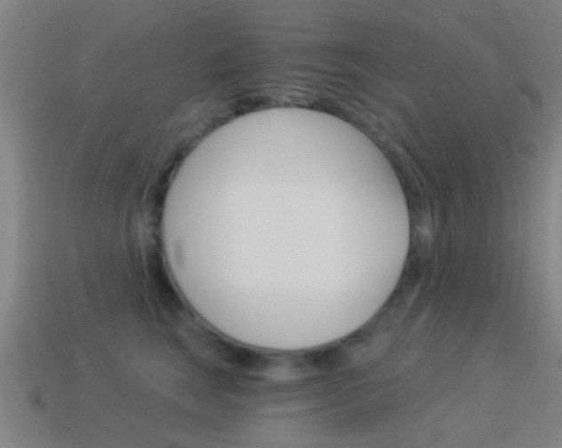 X0000114520663200910190951