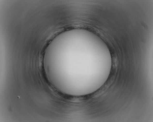 X0000114520664200910190951