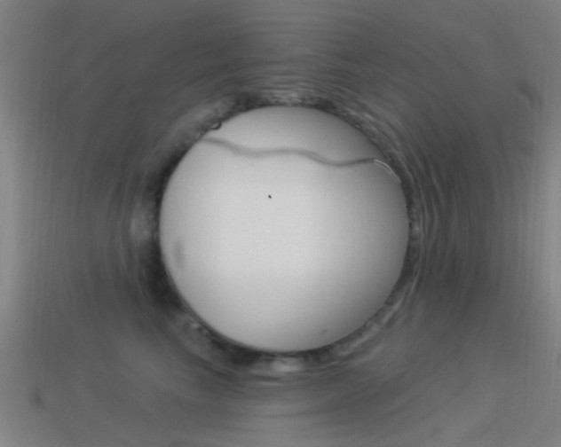 X0000114520665200910190951
