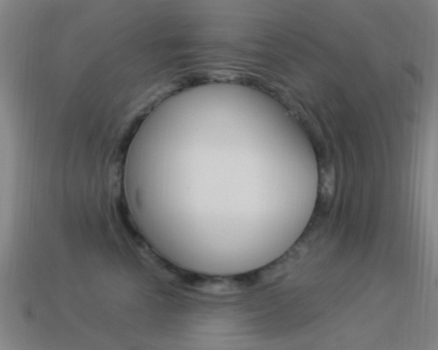 X0000114520666200910190951
