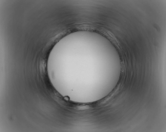X0000114520669200910190951