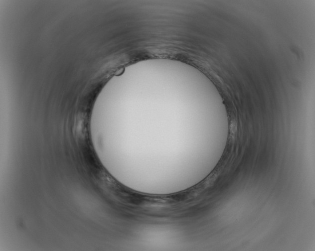 X0000114520671200910190951