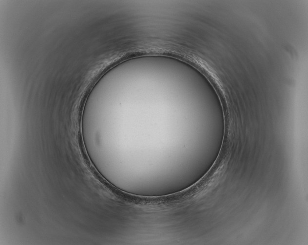 X0000114520673200910190950