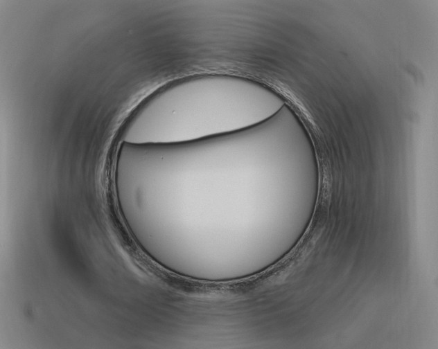 X0000114520674200910190950