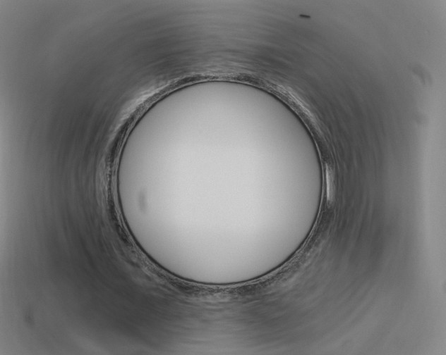 X0000114520675200910190950