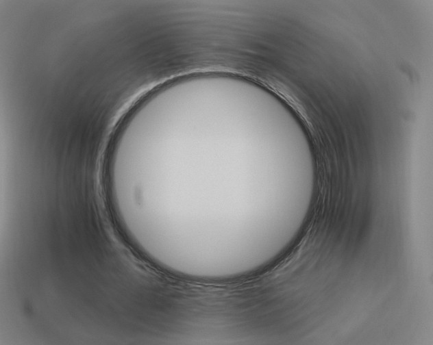 X0000114520676200910190950