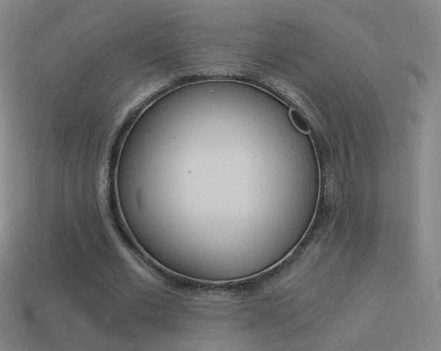 X0000114520677200910190950