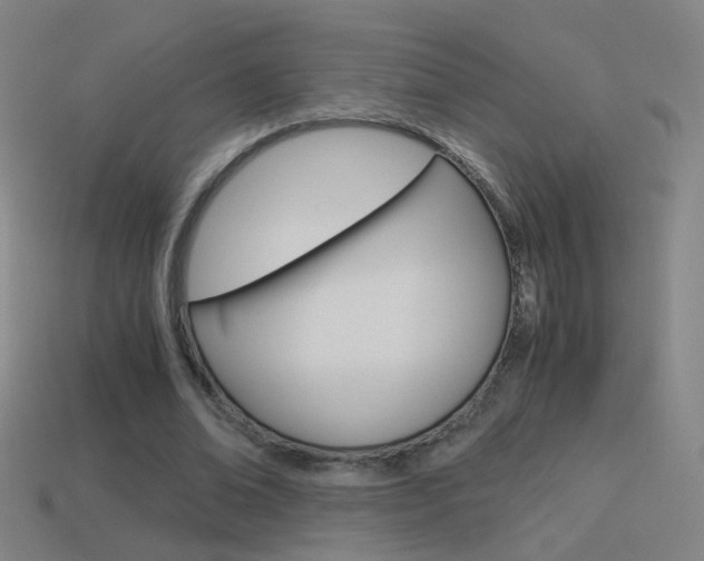 X0000114520678200910190950