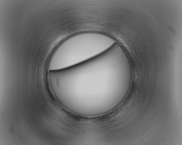 X0000114520679200910190950