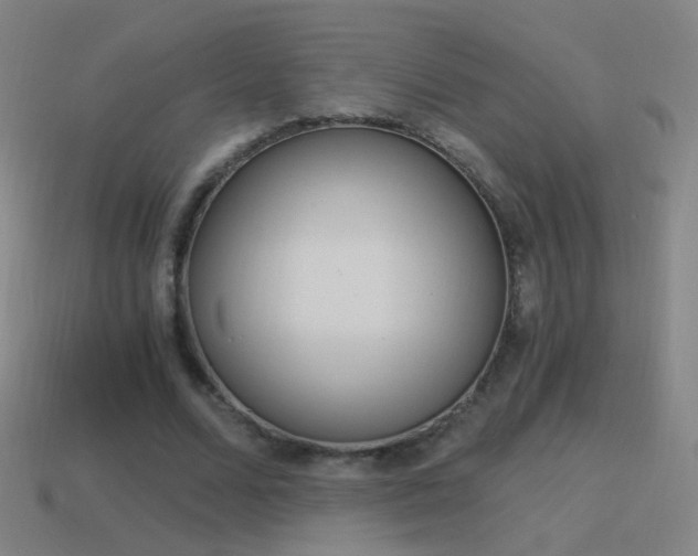 X0000114520680200910190950