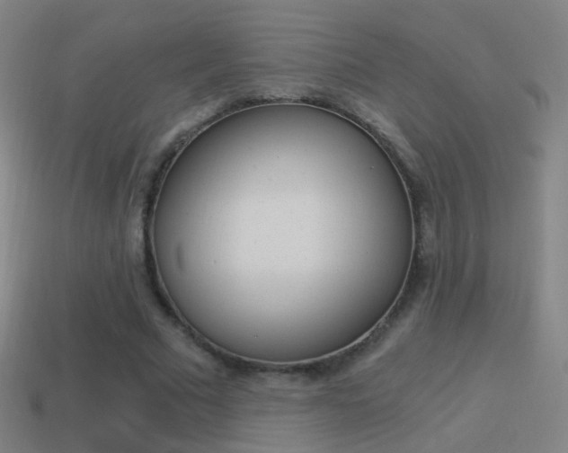 X0000114520681200910190950
