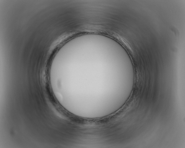 X0000114520682200910190950