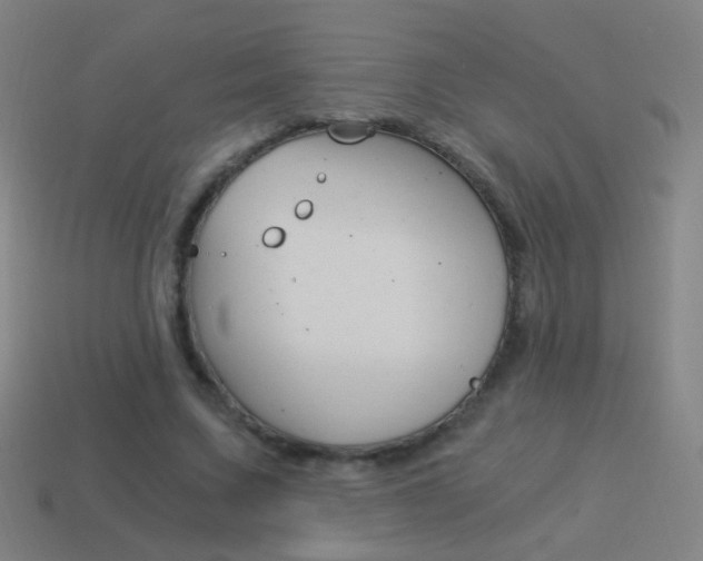 X0000114520683200910190950