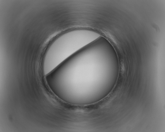 X0000114520684200910190950