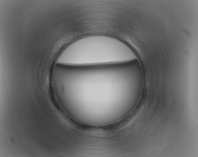 X0000114520685200910190950