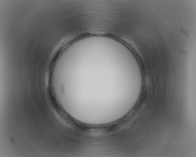 X0000114520686200910190950