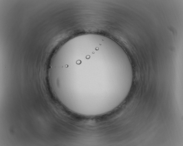 X0000114520687200910190950