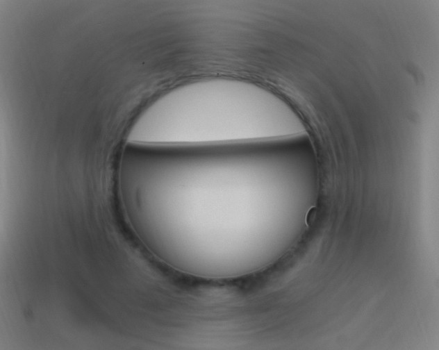 X0000114520689200910190950