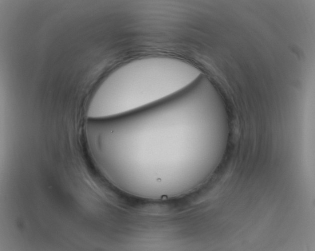 X0000114520691200910190950