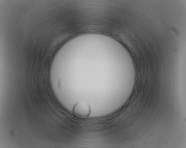 X0000114520692200910190950
