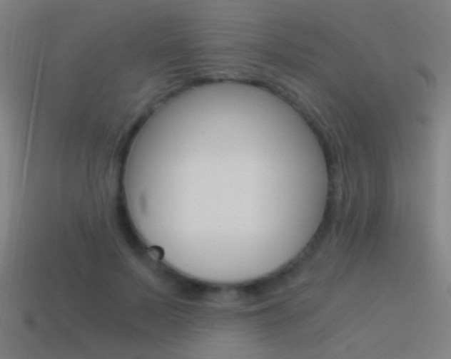X0000114520695200910190950