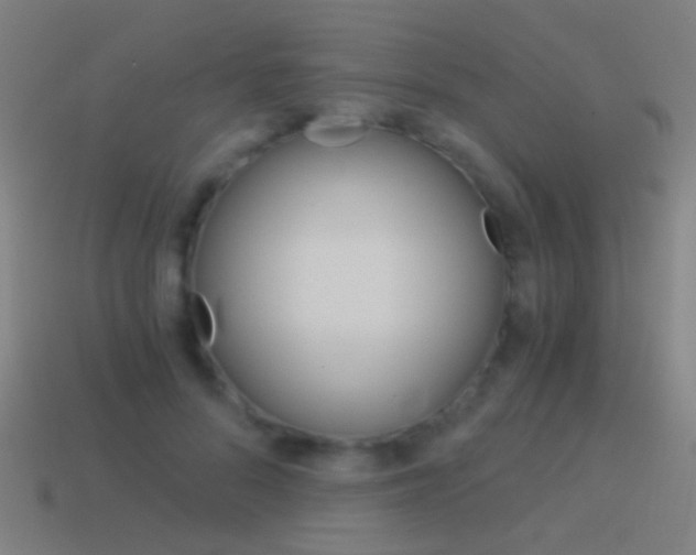 X0000114520696200910190950