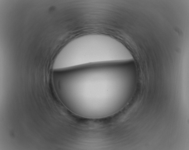 X0000114520697200910190950
