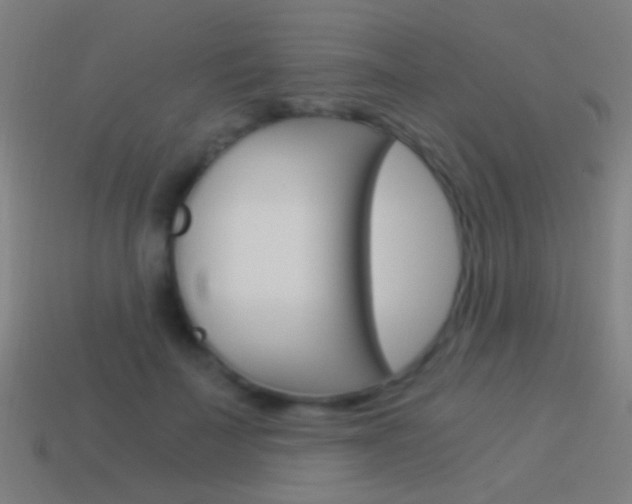 X0000114520699200910190950