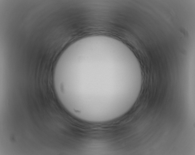 X0000114520700200910190950