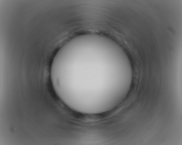 X0000114520707200910190950
