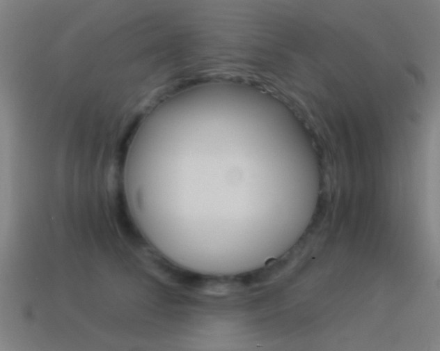 X0000114520708200910190950