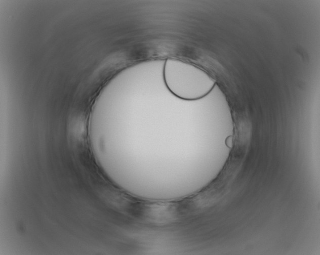 X0000114520709200910190950