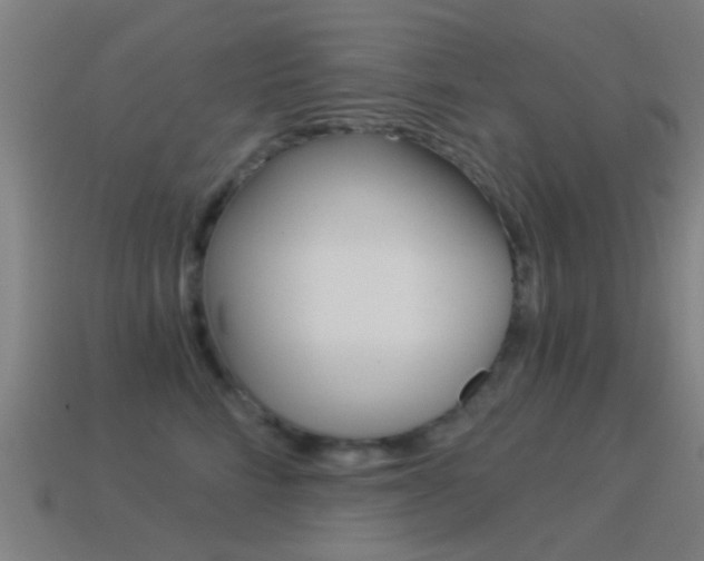 X0000114520712200910190950