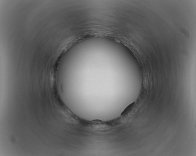 X0000114520716200910190950