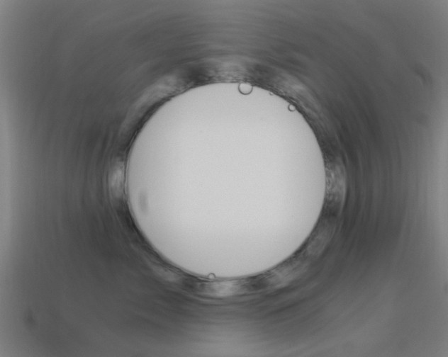 X0000114520717200910190950