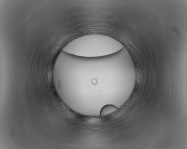 X0000114520718200910190950
