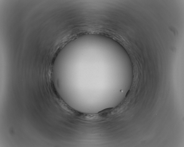 X0000114520720200910190949