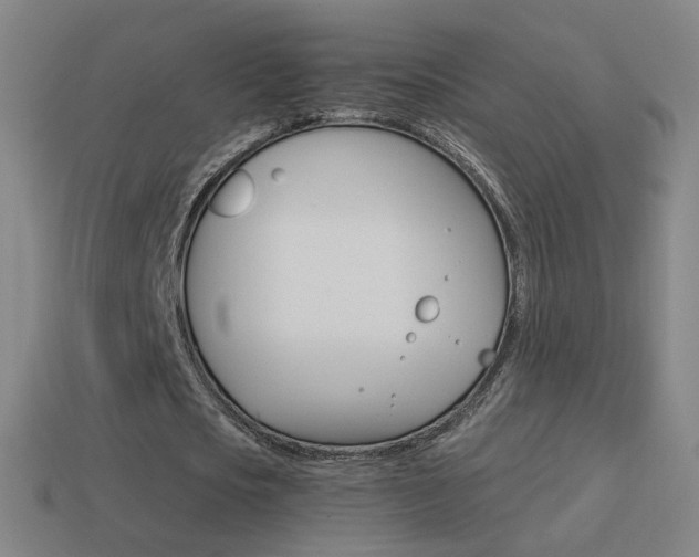 X0000114520721200910190949