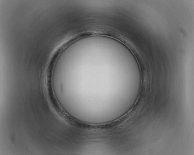 X0000114520730200910190949