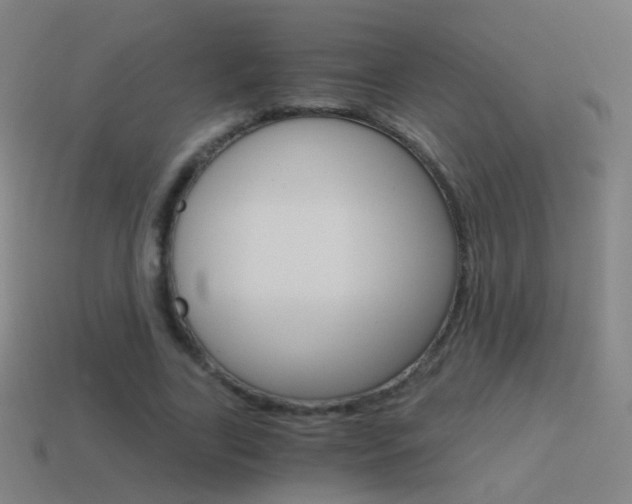 X0000114520731200910190949