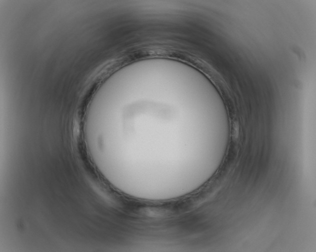 X0000114520733200910190949