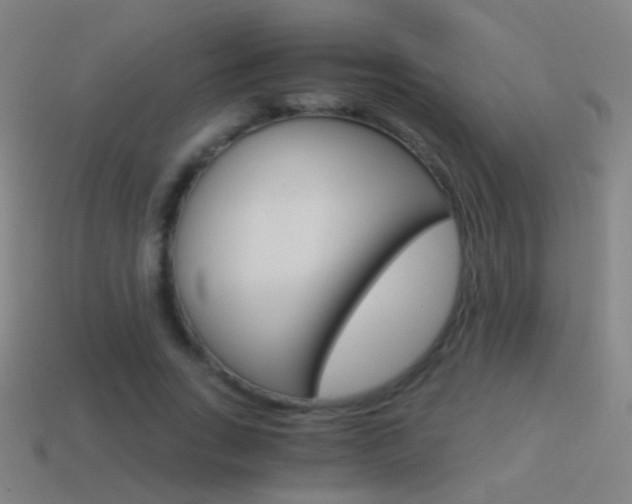 X0000114520735200910190949