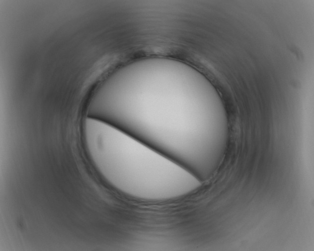 X0000114520738200910190949