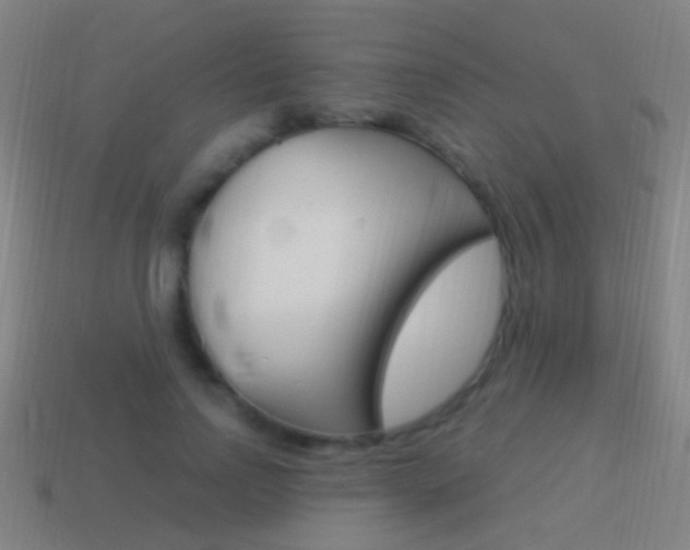 X0000114520742200910190949